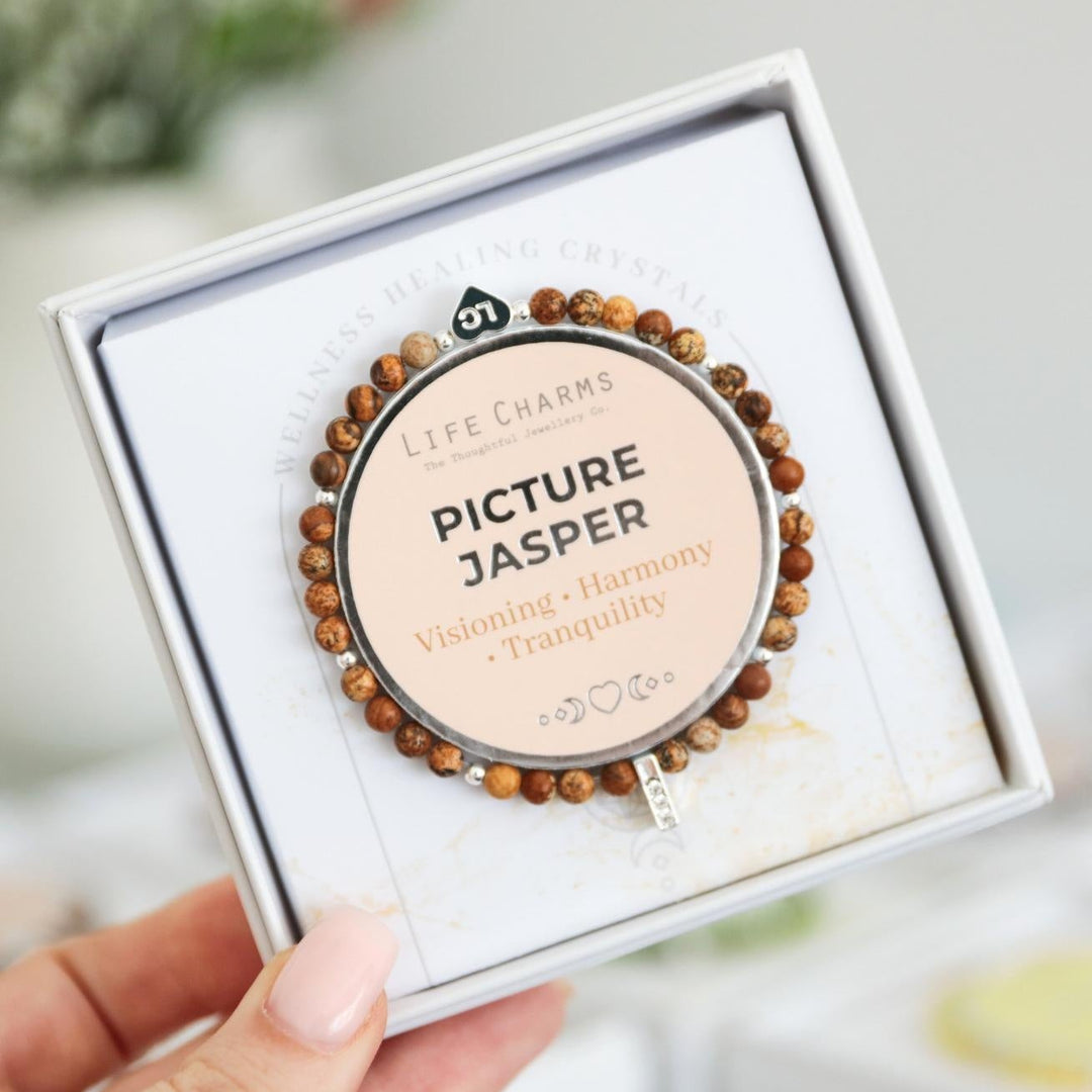 Life Charms Picture Jasper bracelet in a box held by a hand with a blurred background