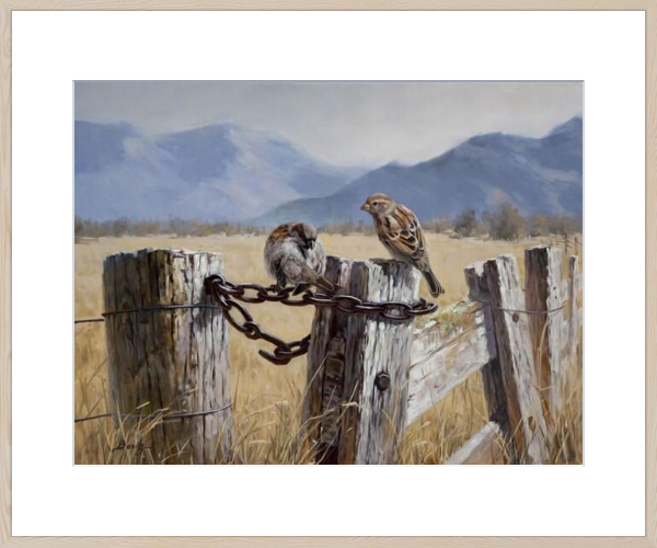 On the Fence Framed Artwork