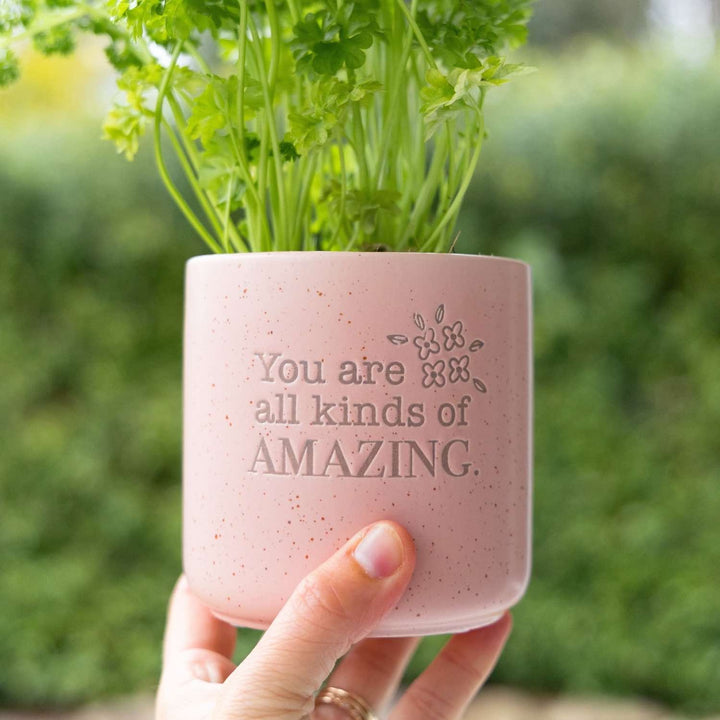 Amazing Quote Positive Plant Pot