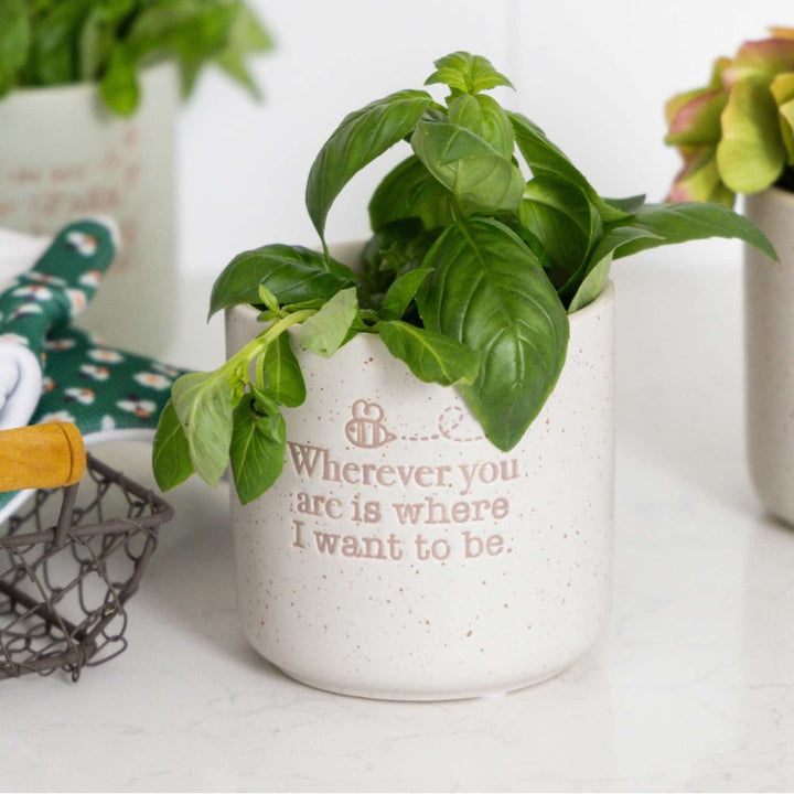 White plant pot with green plant and motivational quote and bee on a white surface