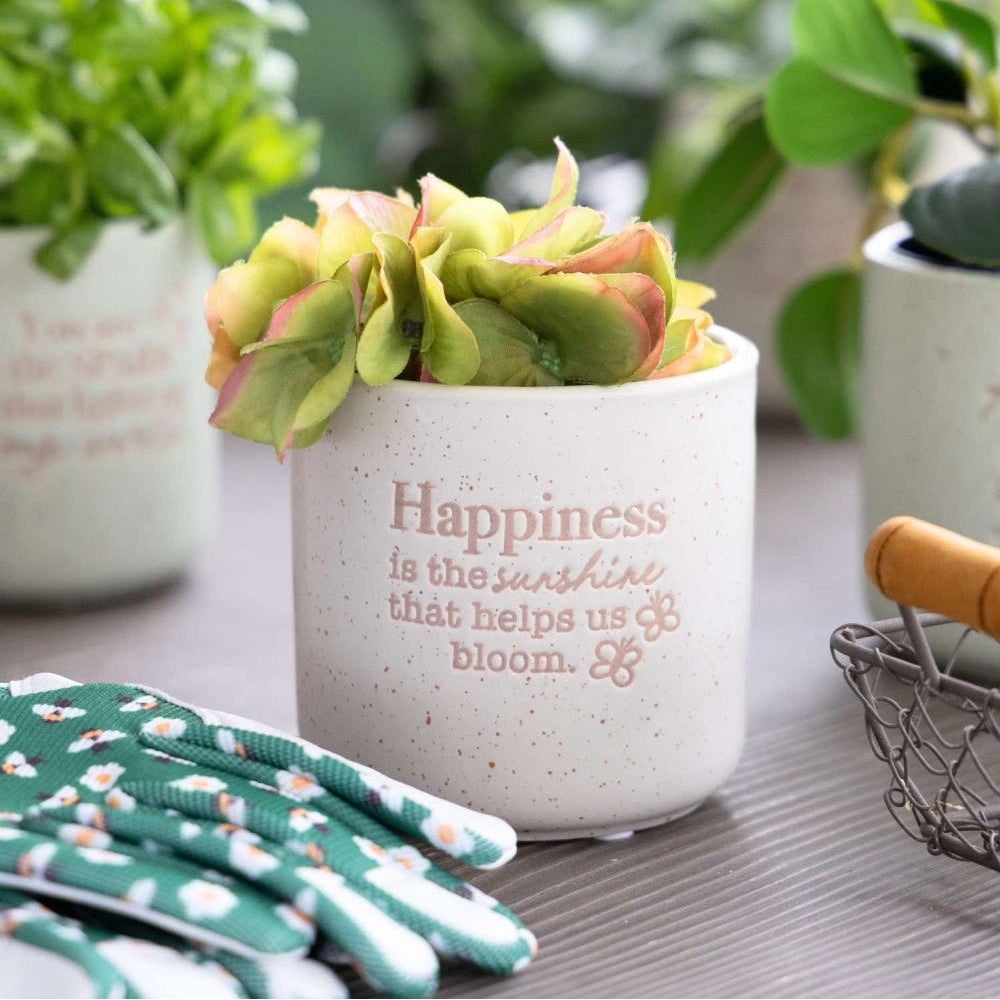 Ceramic pot with succulent plant and motivational quote, surrounded by gardening tools on a table.