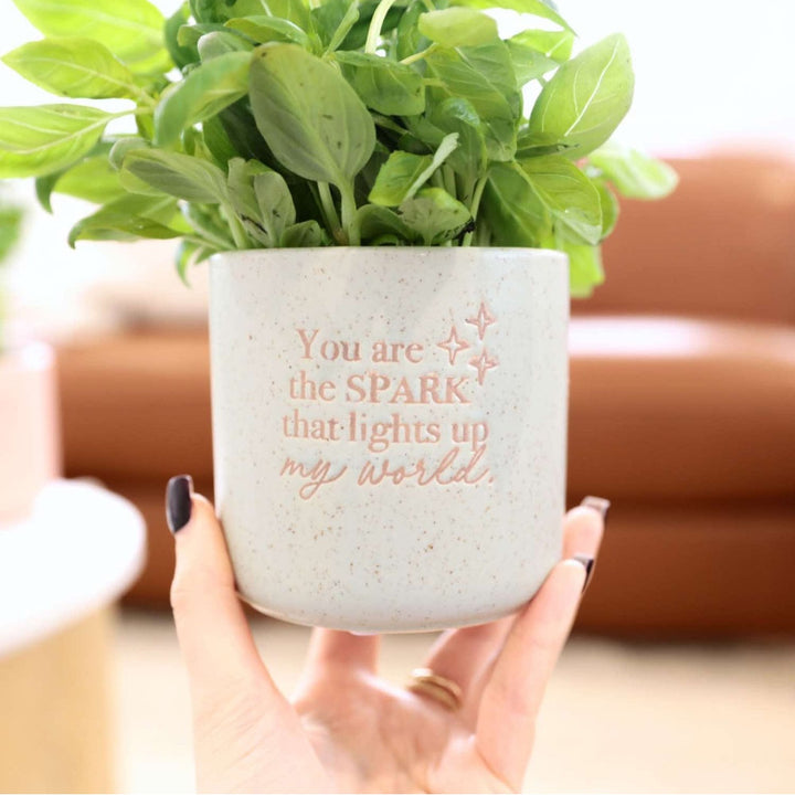 Person holding a plant pot with a motivational quote on a blurred background