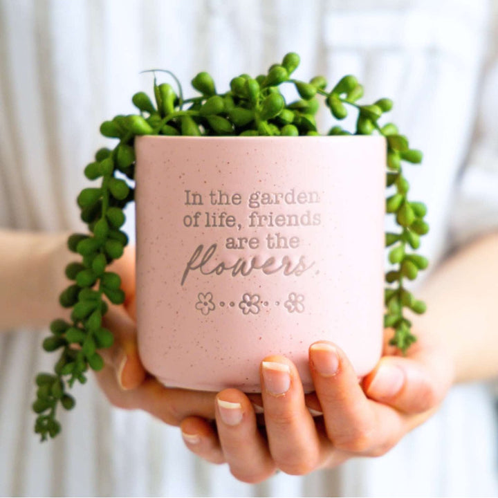 Pink planter with green plant held by hands, featuring a quote.