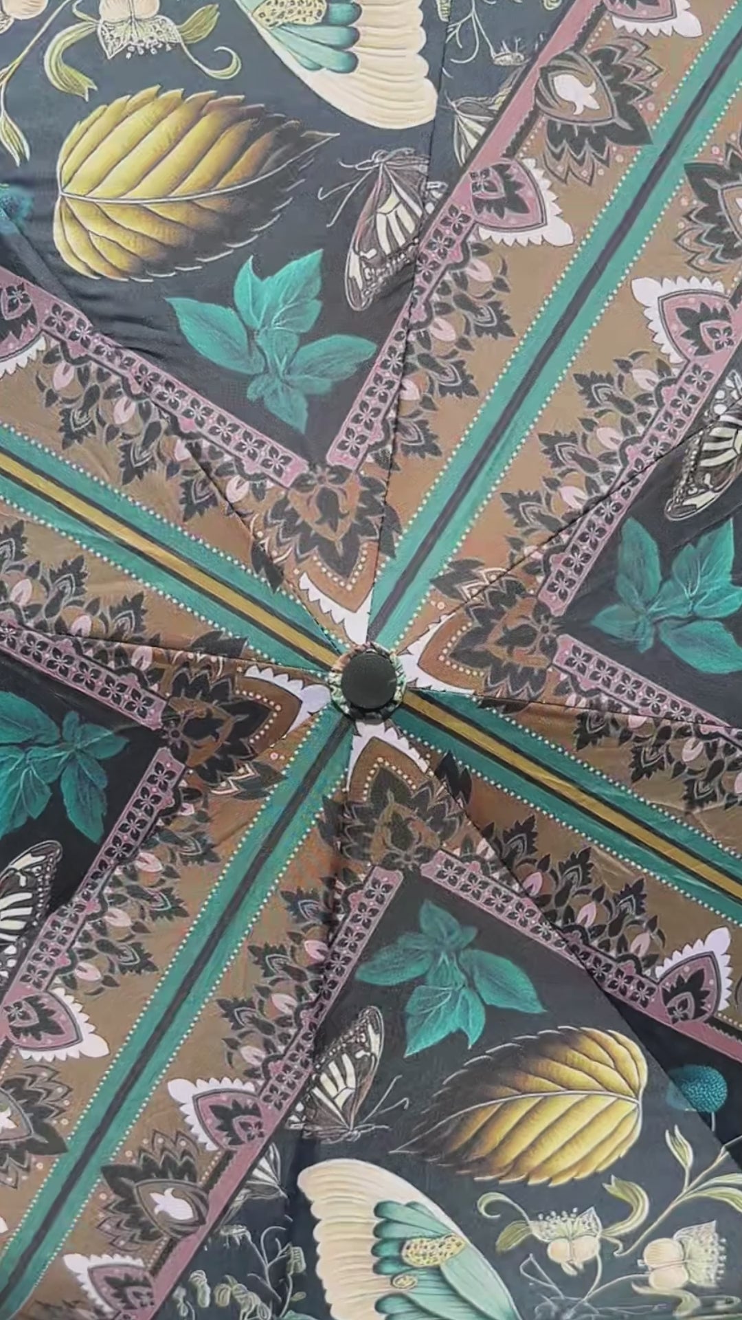 Curate Moth Rain or Shine Umbrella