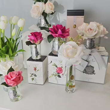 Cote Noire Peach Clear Five Roses