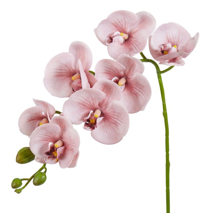 76cm Pink Orchid Artificial Stem