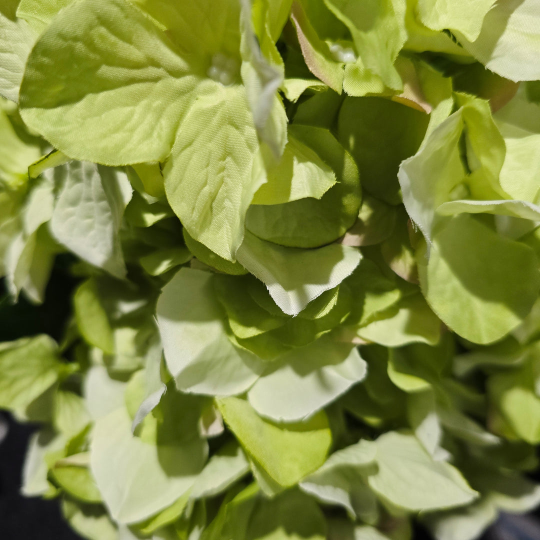 65cm Sublime Green Artificial Hydrangea