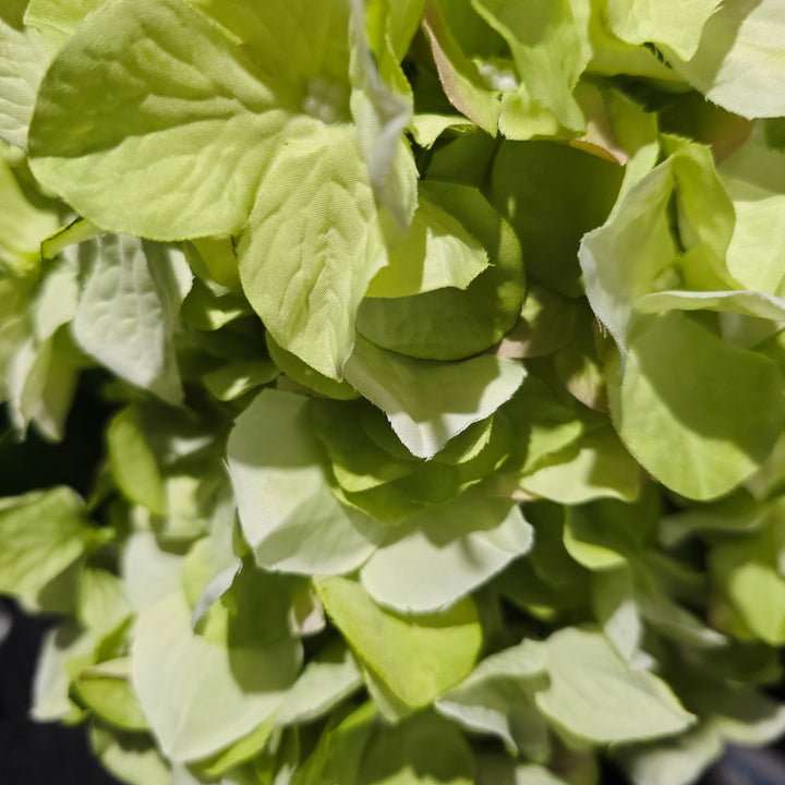 65cm Sublime Green Artificial Hydrangea