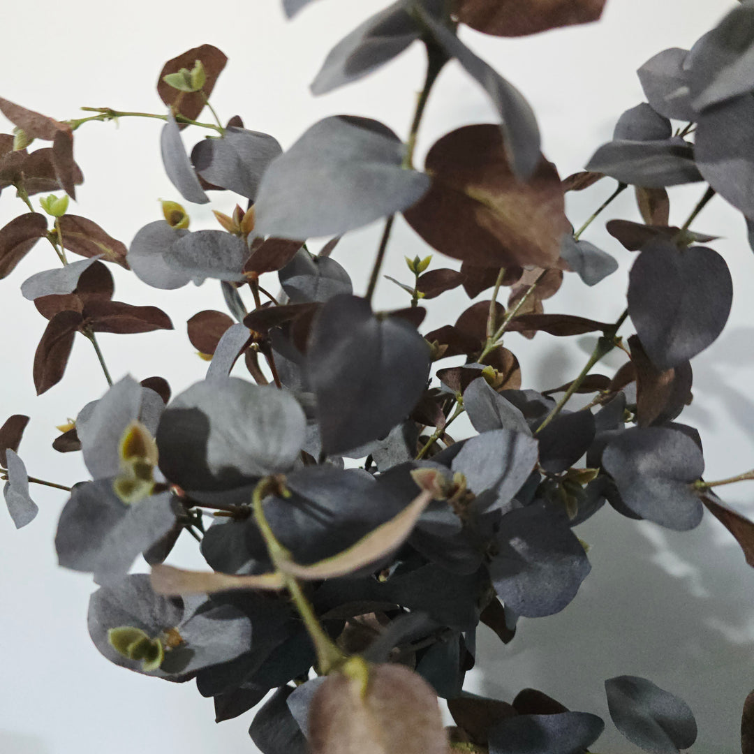 86cm Brown Eucalytus Stem