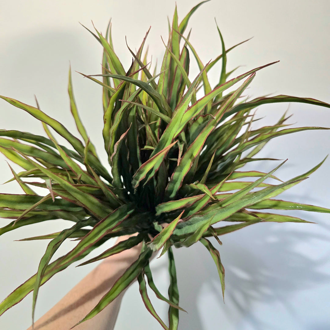 34cm Vanilla Grass Artificial