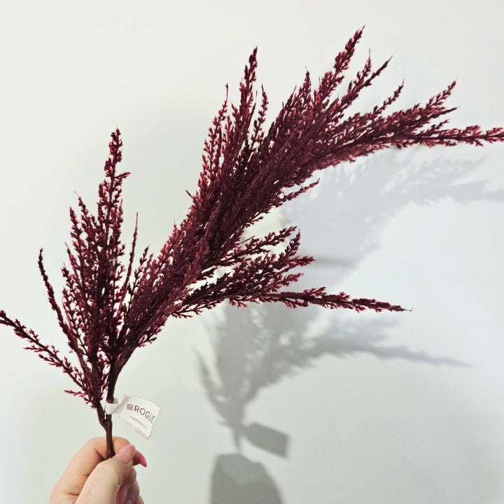 95cm Burgundy Pampas Spray Stem