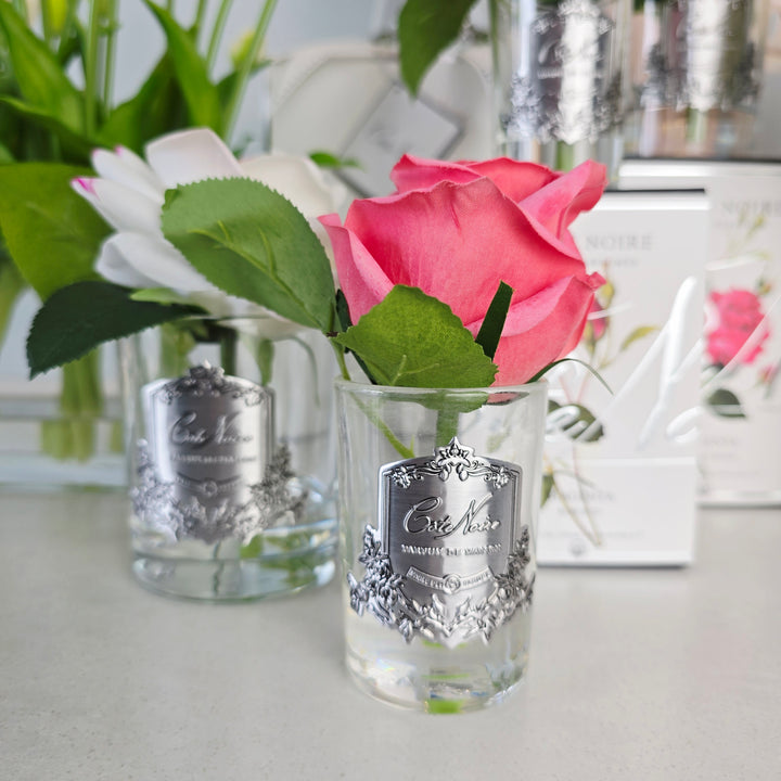 BLUSH SUMMER ROSE