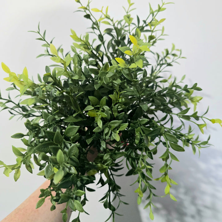 34cm Artificial Boxwood Bush