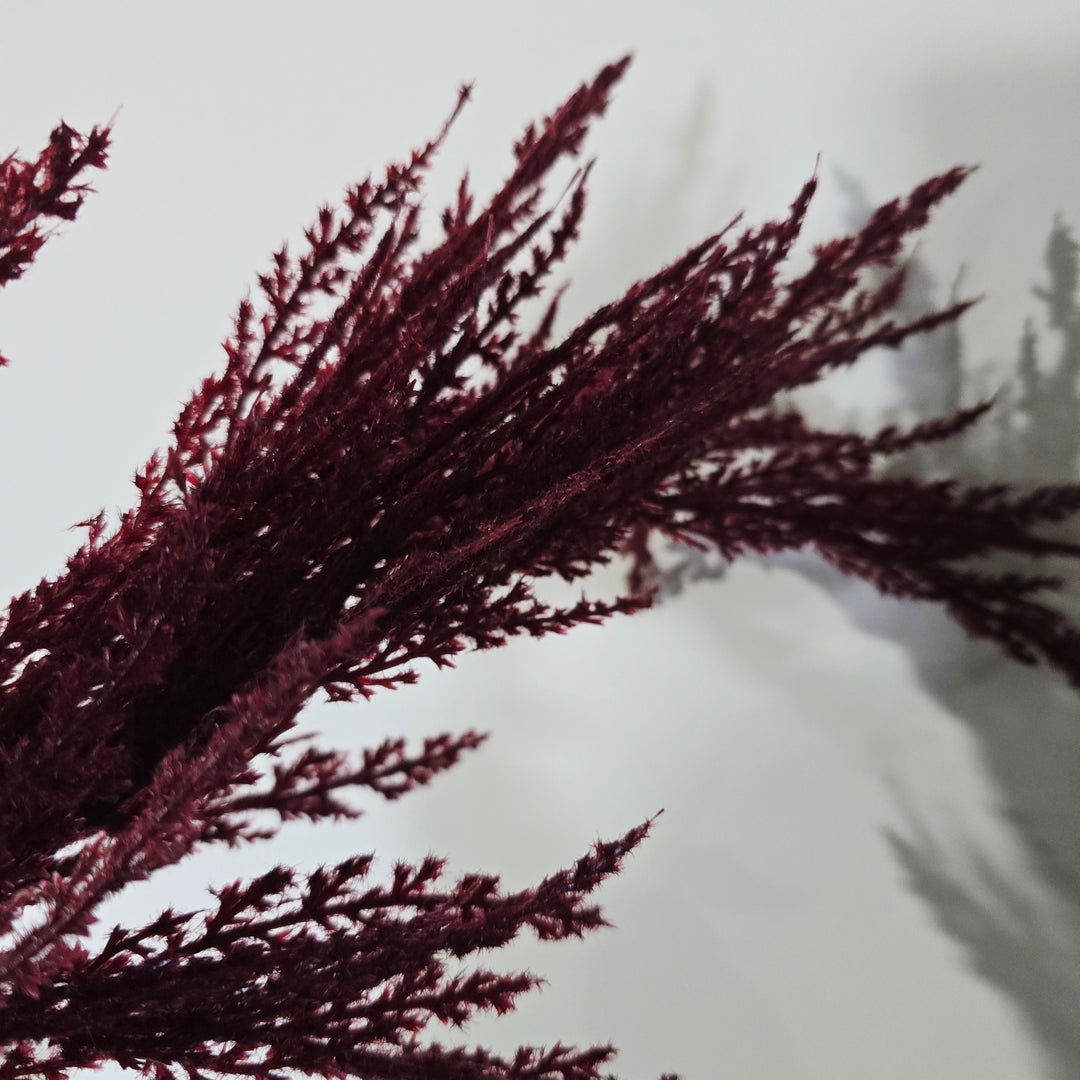 95cm Burgundy Pampas Spray Stem