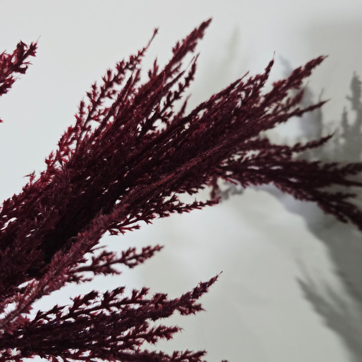 95cm Burgundy Pampas Spray Stem