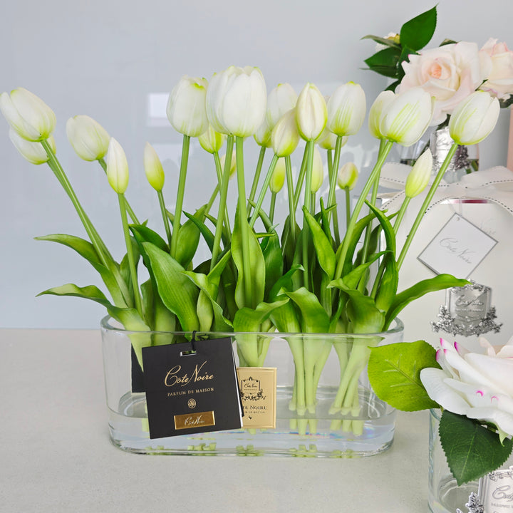 Cote Noire White Oval Tulips