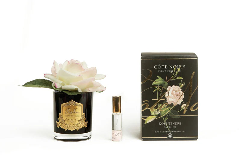 SINGLE BLUSH ROSE BLACK