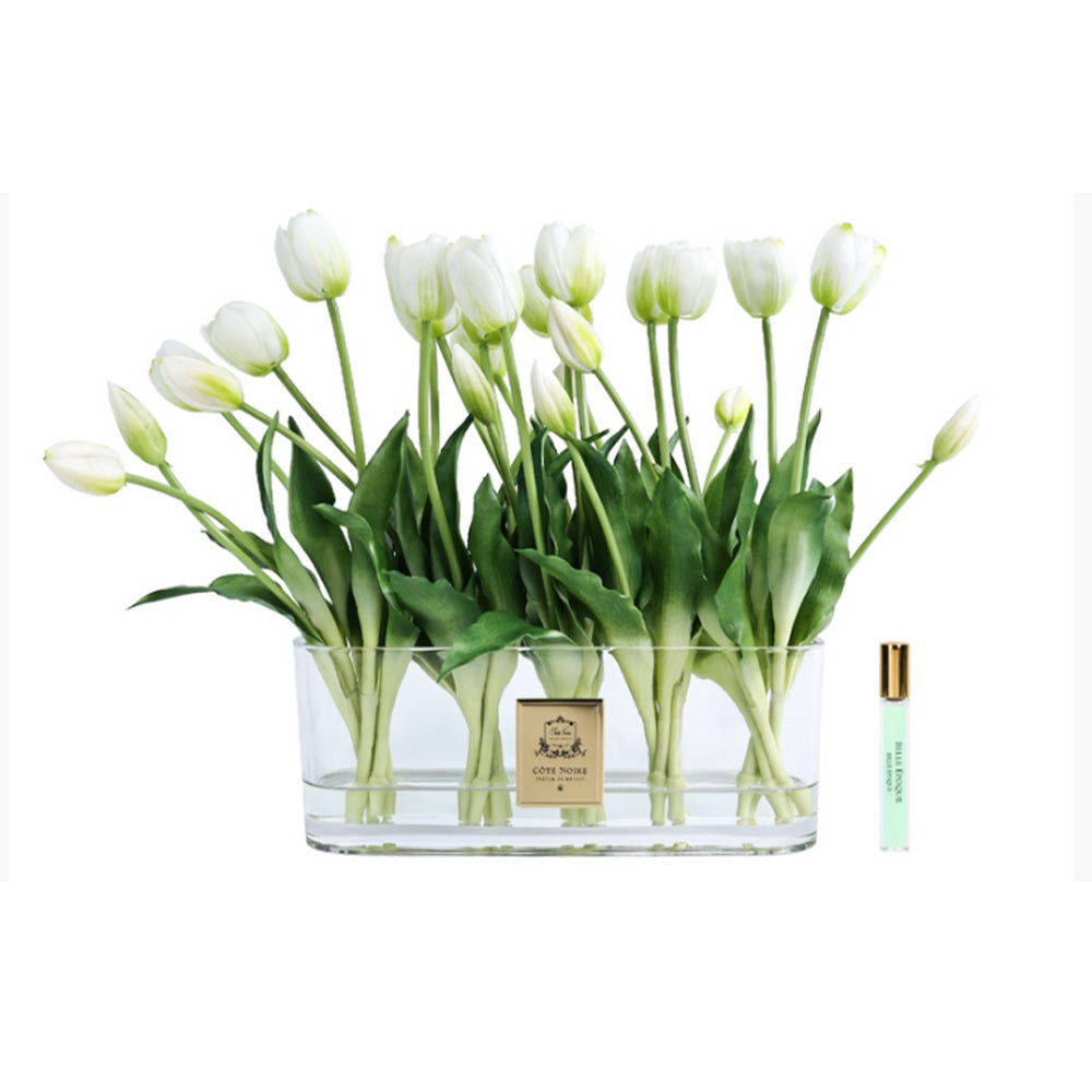 Cote Noire White Heritage Tulips