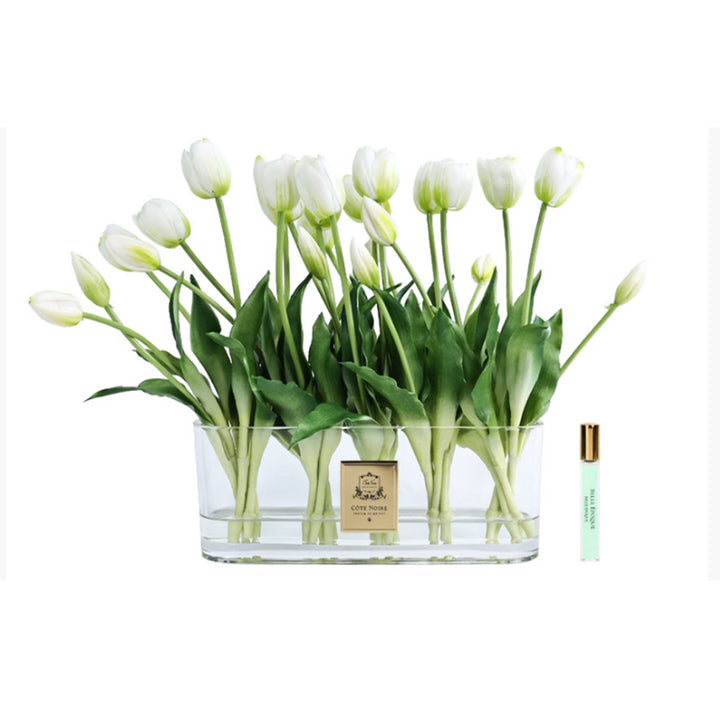Cote Noire White Heritage Tulips