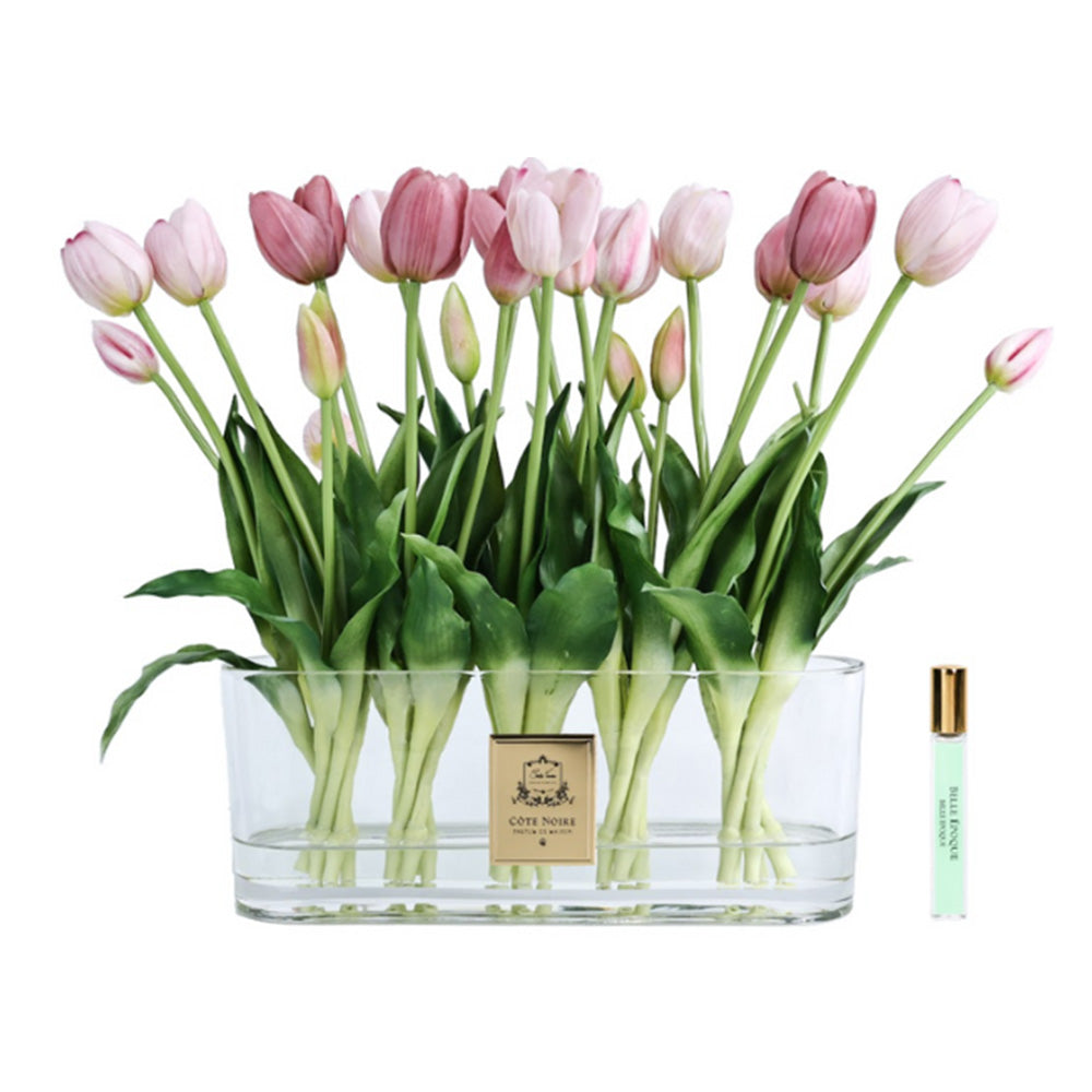 Cote Noire Pink Heritage Tulips
