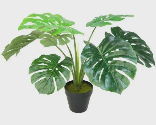 ARTIFICIAL 60CM POTTED MONSTERA - RAPT ONLINE