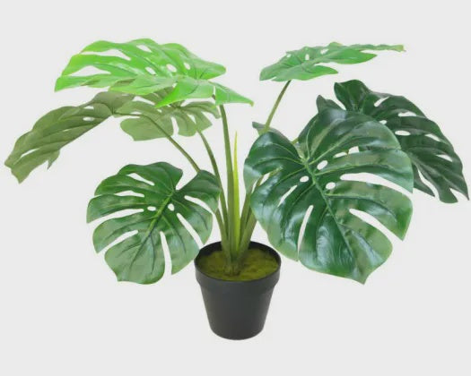 ARTIFICIAL 60CM POTTED MONSTERA