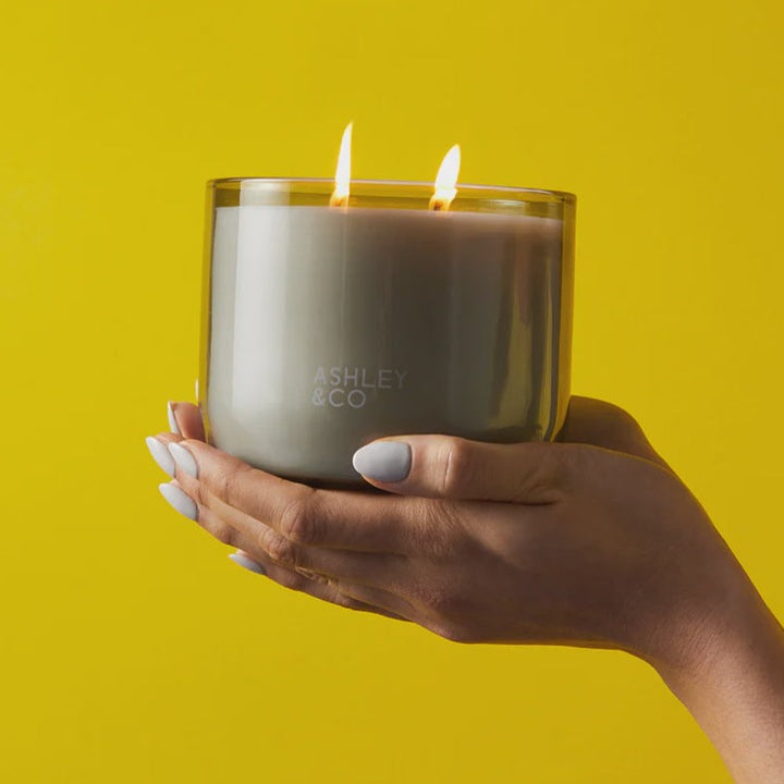 WAXED XL CANDLE TUI & KAHILI - RAPT ONLINE