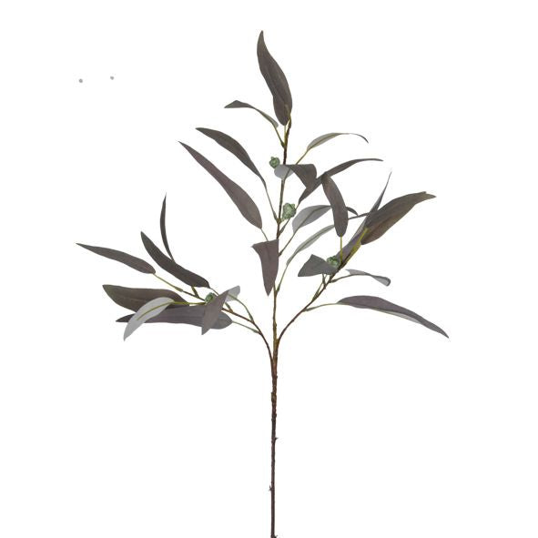 NARABOUR GREY EUCALYPTUS - RAPT ONLINE