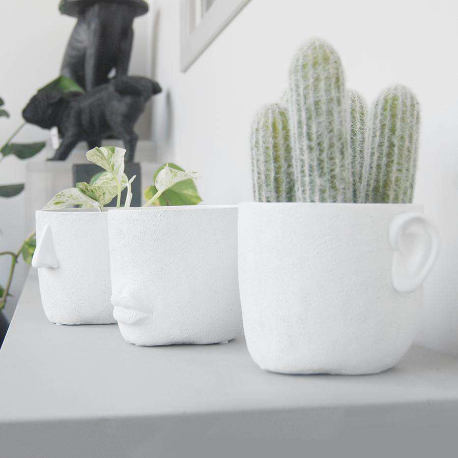 40% OFF | FACE PLANTER (SOLD SEPARATELY)