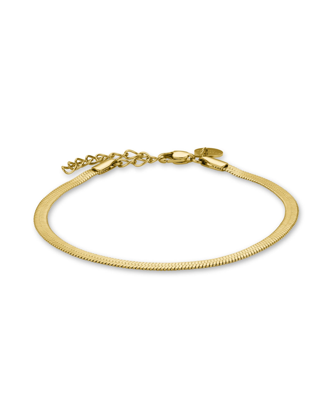 GOLD SNAKE BRACELET - RAPT ONLINE