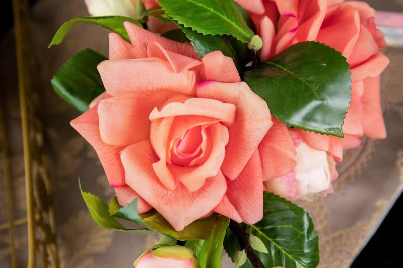 PEACH ROSES OVAL - RAPT ONLINE