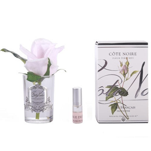 FRENCH PINK BUD - RAPT ONLINE