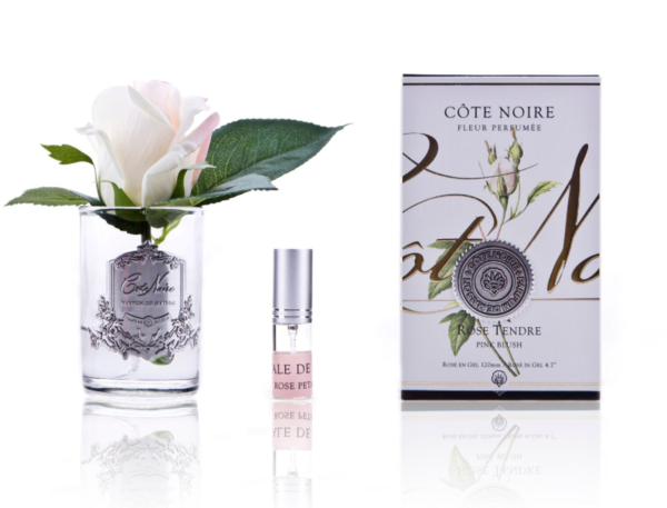 BLUSH CLEAR ROSE BUD CLEAR - RAPT ONLINE